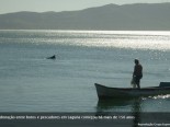 Matria sobre a parceria entre golfinhos e pescadores em Laguna/SC/Brasil