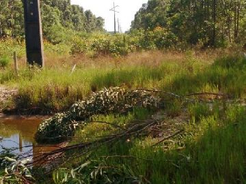�timo terreno no Estreito em Laguna/SC