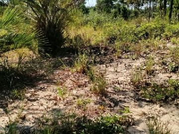 �timo terreno no Estreito em Laguna/SC
