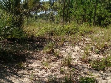 �timo terreno no Estreito em Laguna/SC