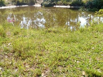 �timo terreno no Estreito em Laguna/SC