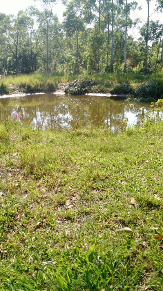 �timo terreno no Estreito em Laguna/SC
