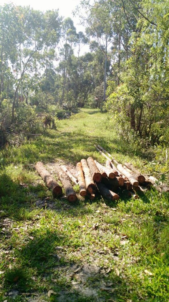 �timo terreno no Estreito em Laguna/SC