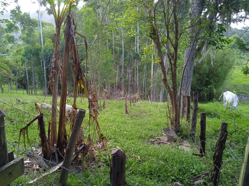 Stio - Venda - Serto Siqueiro - Laguna - SC