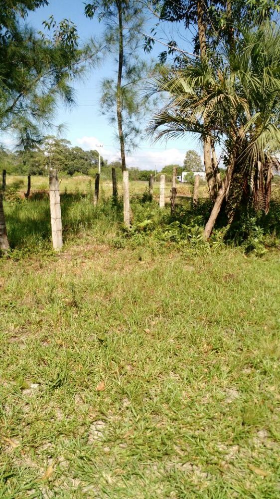 �timo terreno no Estreito em Laguna/SC