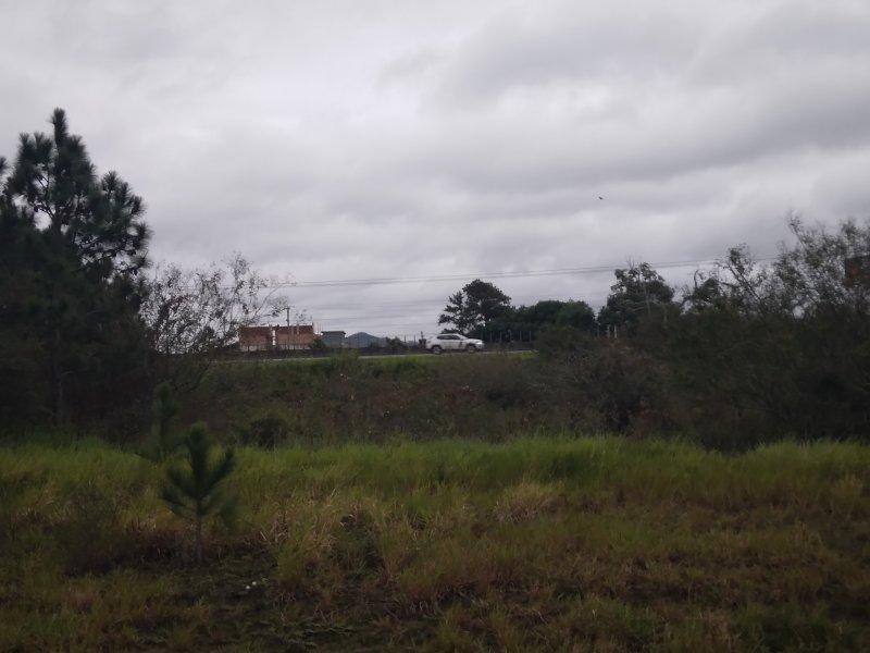 Terreno - Venda - Nova Fazenda - Laguna - SC