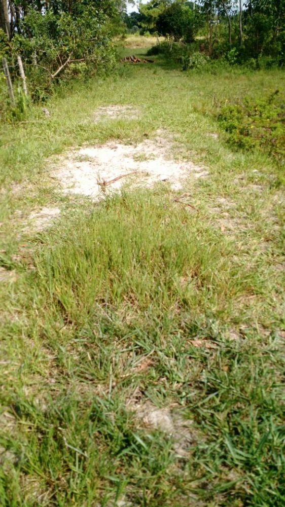 �timo terreno no Estreito em Laguna/SC