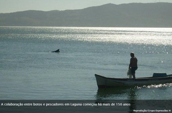 Matria sobre a parceria entre golfinhos e pescadores em Laguna/SC/Brasil